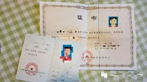 人力資源和勞動(dòng)社會(huì)保障部教育培訓(xùn)中心與廣東省職業(yè)技能鑒定指導(dǎo)中心的培訓(xùn)哪個(gè)證書更好